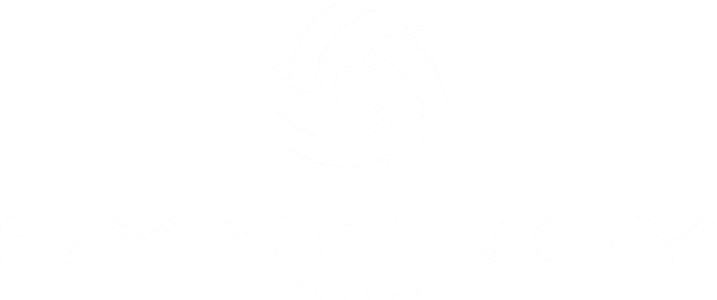 Synergy Plus